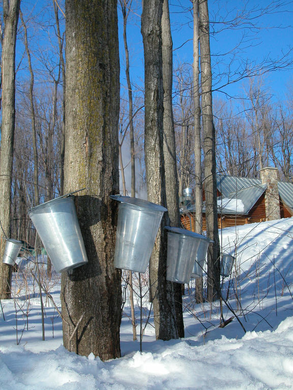 Auberge Des Gallant Rigaud Luaran gambar