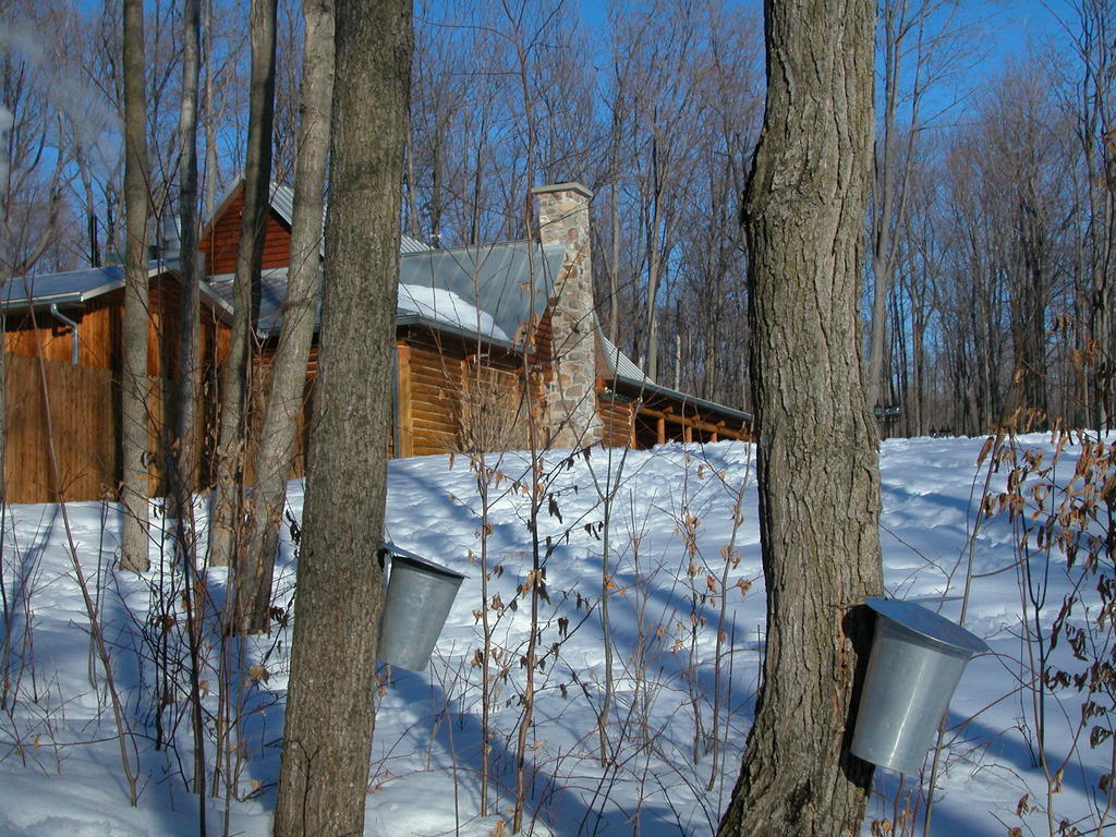 Auberge Des Gallant Rigaud Luaran gambar