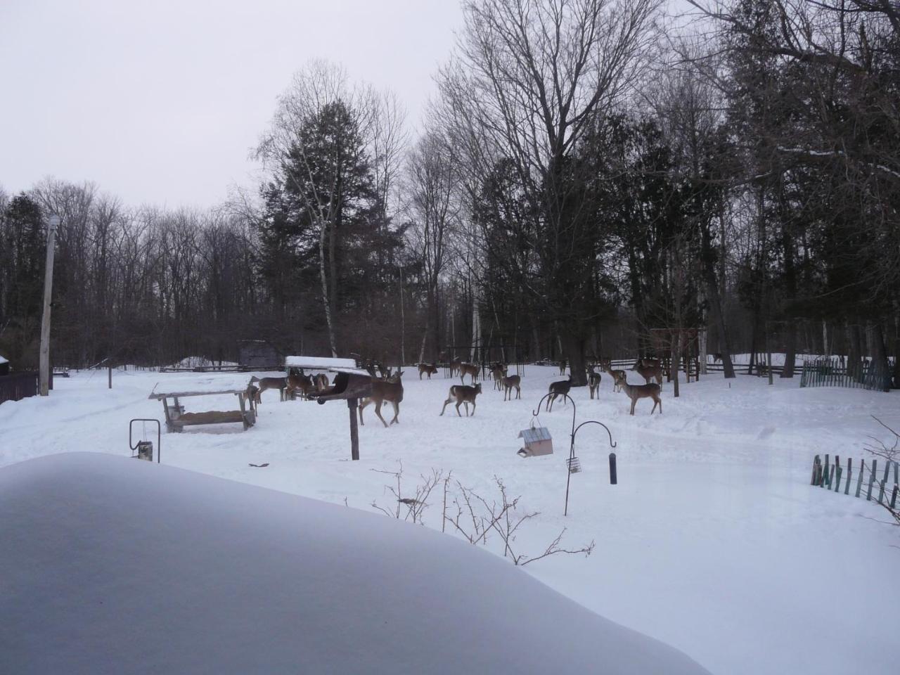 Auberge Des Gallant Rigaud Luaran gambar